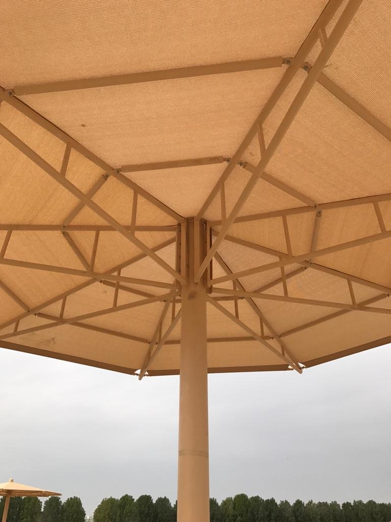 umbrella